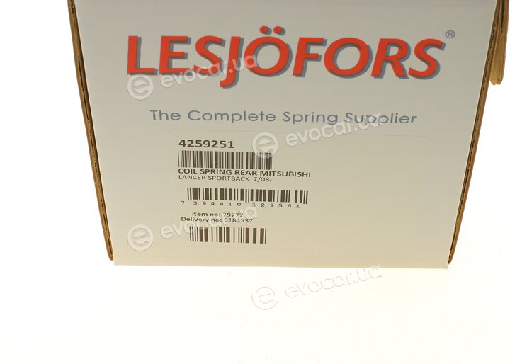 Lesjofors 4259251