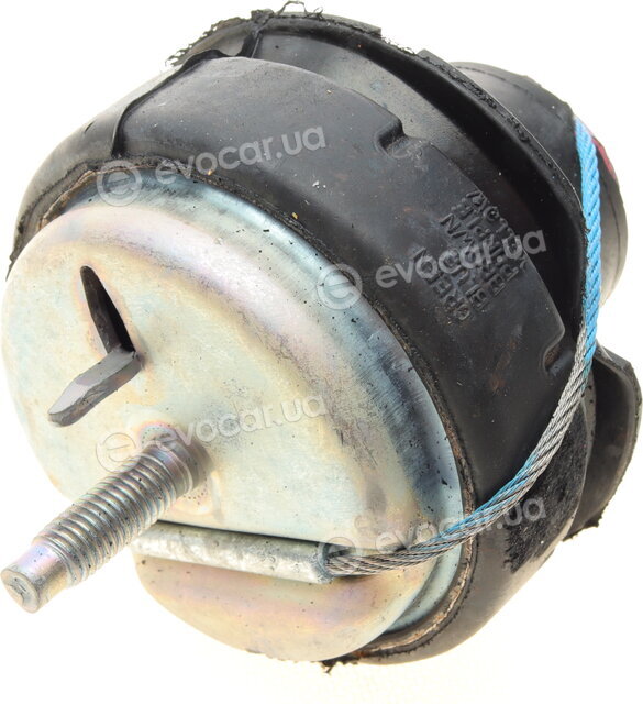Hutchinson 586437