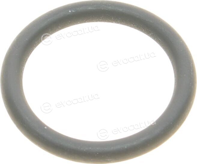 Elring 339.650