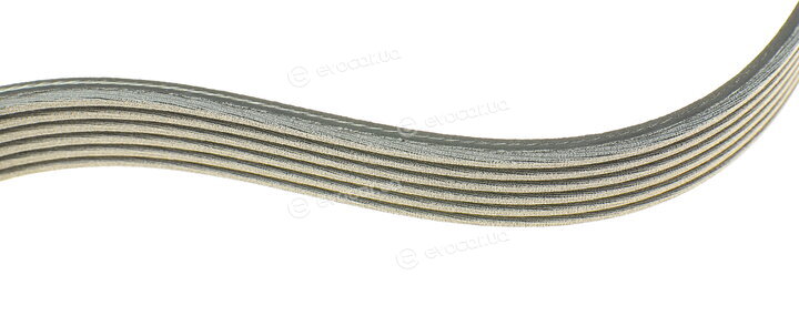 Dayco KPV286