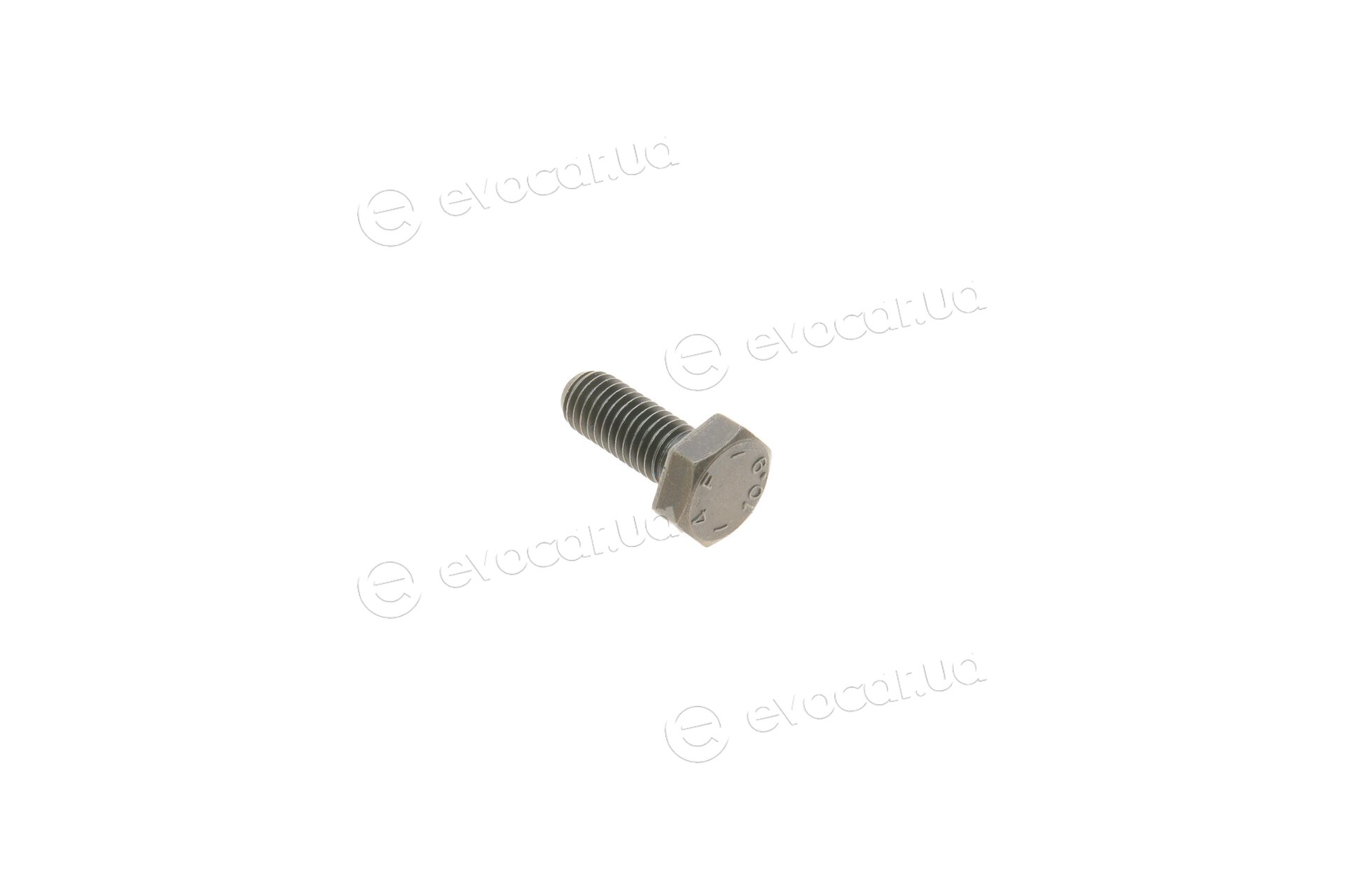 Gates K025344XS