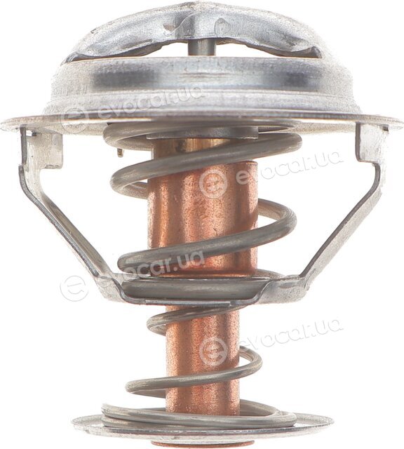 Motorad 480-88K