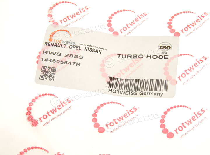 Rotweiss RWS2855