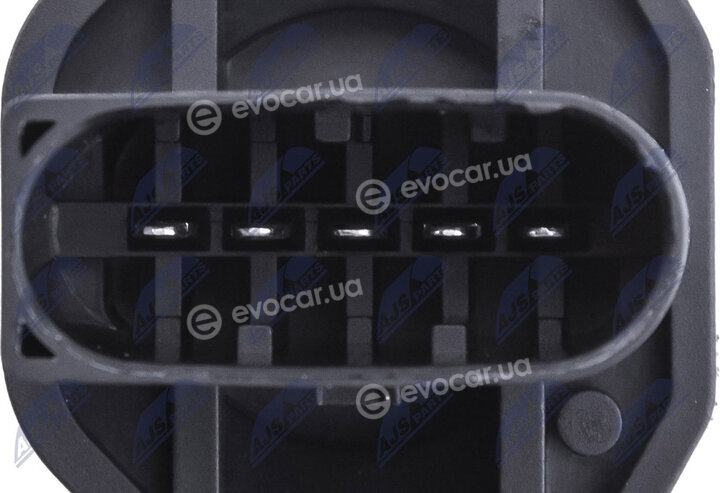 NTY EPP-AU-031