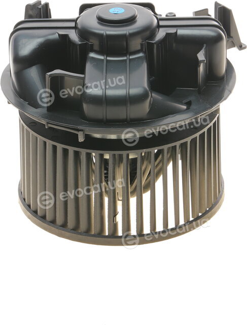 AIC 56118