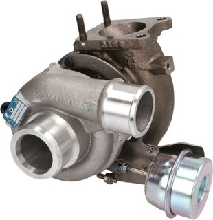 BorgWarner 53049880084