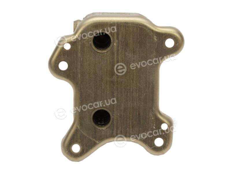 AVA OL3581