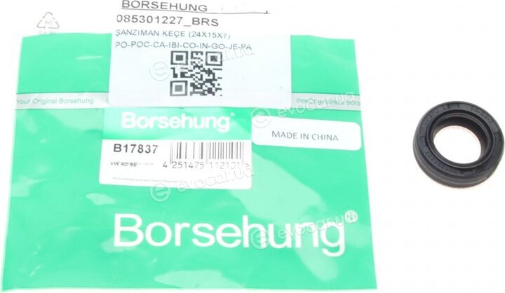 Borsehung B17837