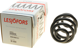 Lesjofors 4208434
