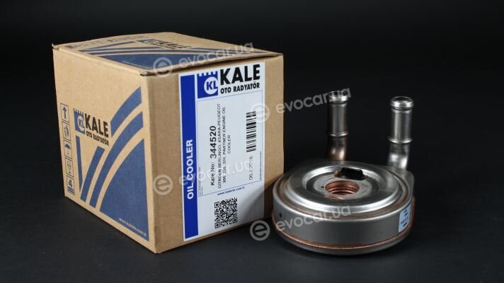 Kale 344520