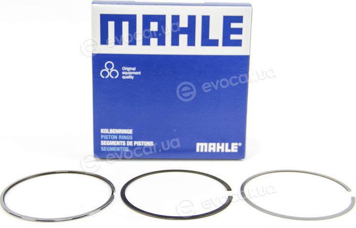 Mahle 030 77 N0