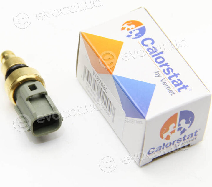 Vernet / Calorstat WS2680