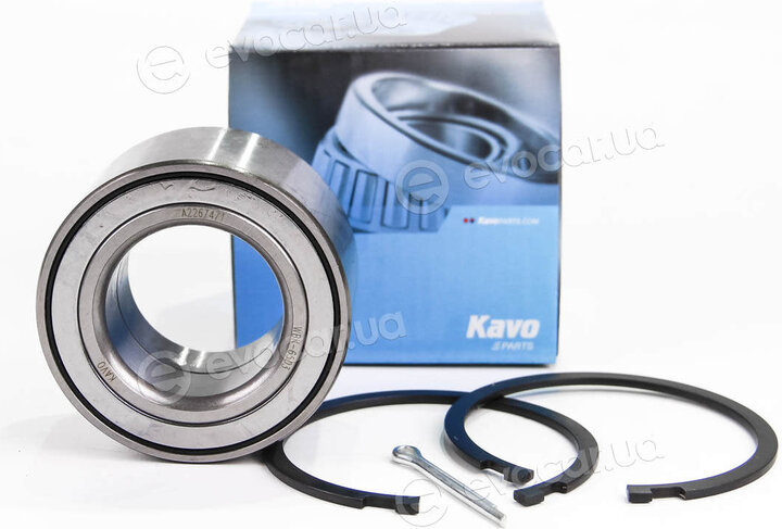 Kavo WBK-6503