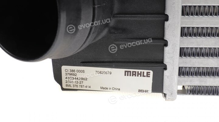 Mahle CI 386 000S