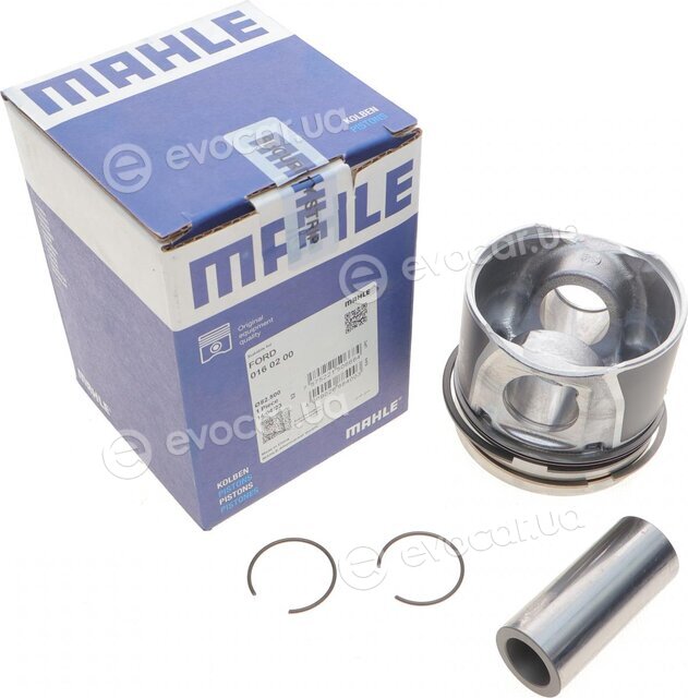 Mahle 016 02 00