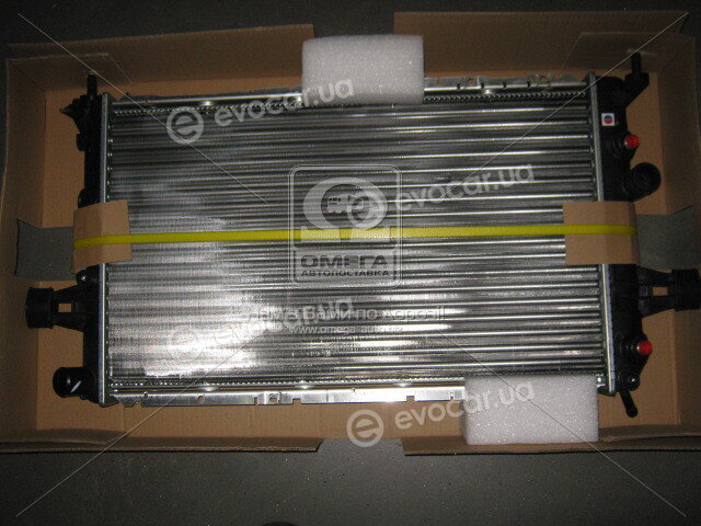 AVA OLA2253