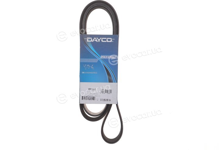 Dayco 6PK1842
