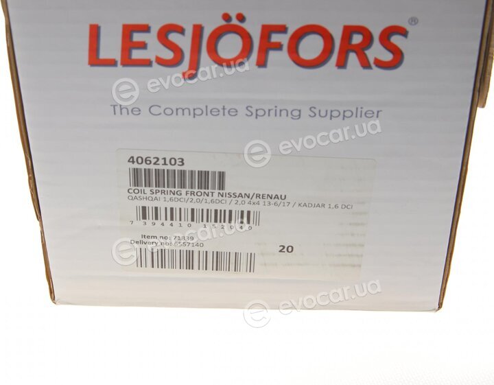 Lesjofors 4062103