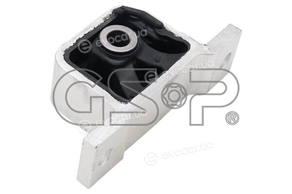 GSP 513387