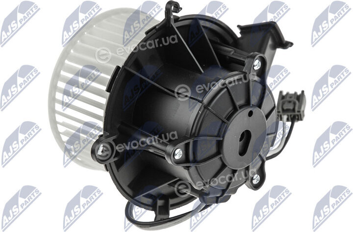 NTY EWN-PL-002