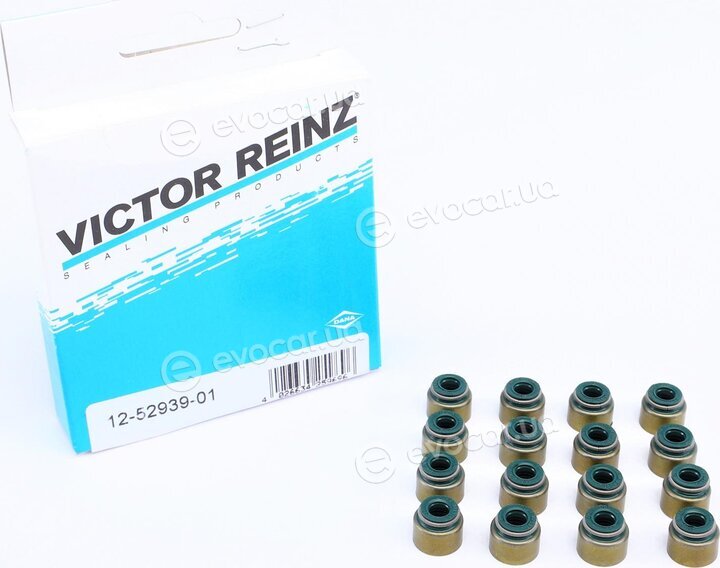 Victor Reinz 12-52939-01