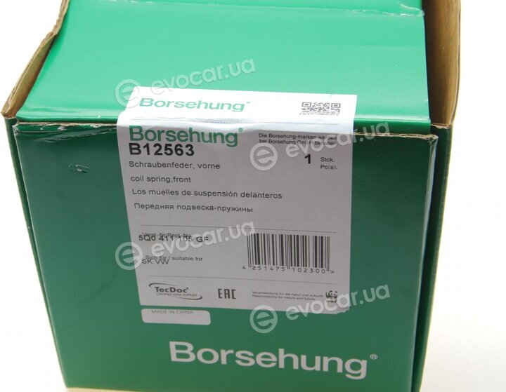 Borsehung B12563