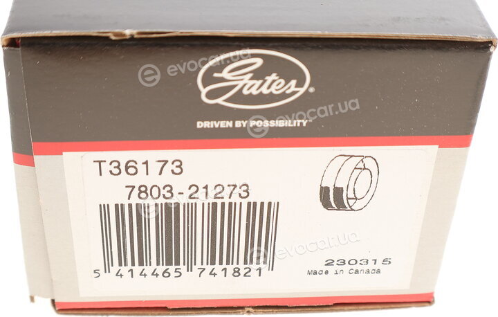 Gates T36173