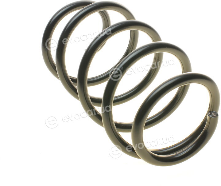 Lesjofors 4095097
