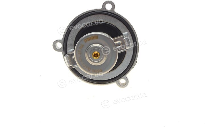 Mahle TM 27 101