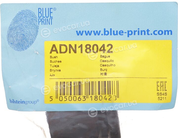 Blue Print ADN18042