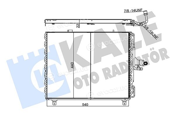 Kale 354060