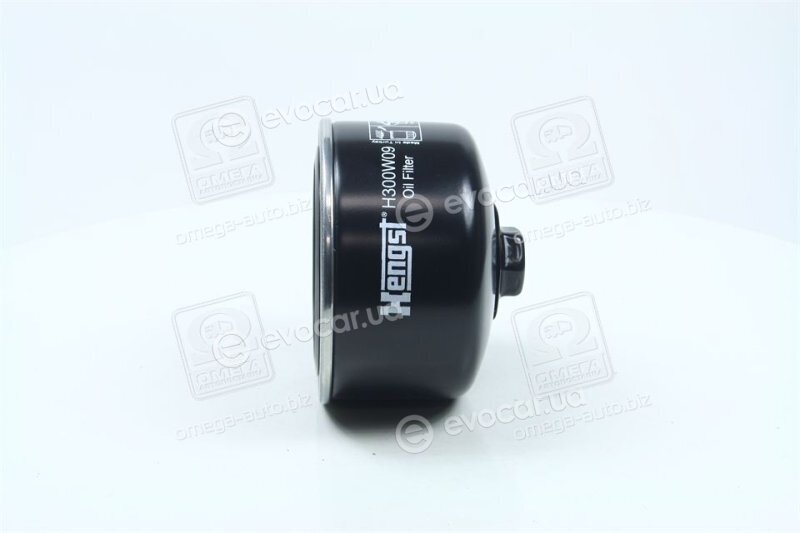 Hengst H300W09