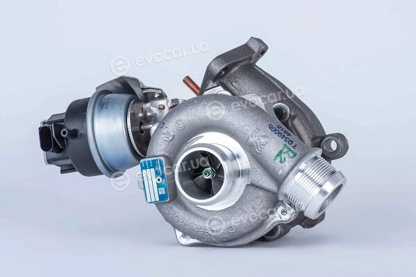 BorgWarner 53039880109