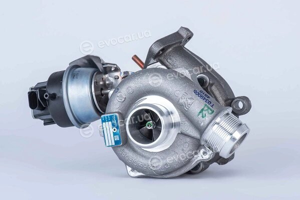 BorgWarner 53039900109