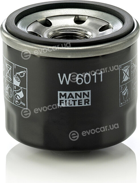 Mann W 6011