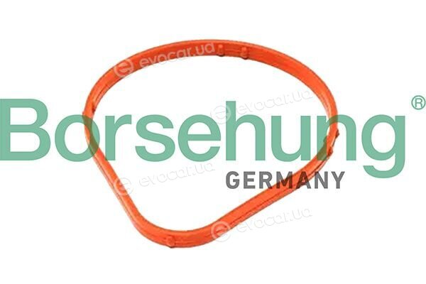 Borsehung B13359