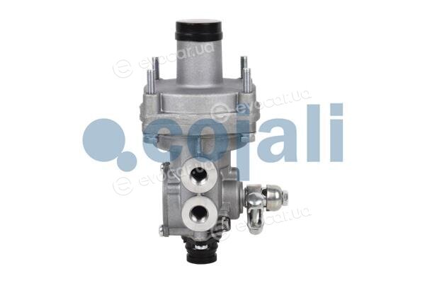 Cojali 2220310