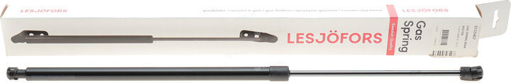 Lesjofors 8155467
