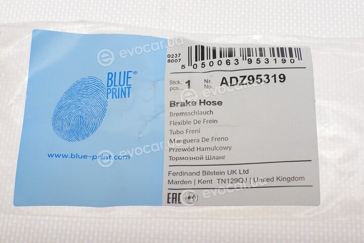 Blue Print ADZ95319