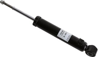 Sachs 318 809