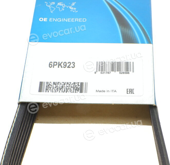 Dayco 6PK923