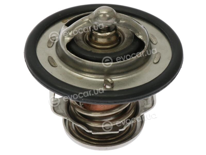 Starline TS T113.88T