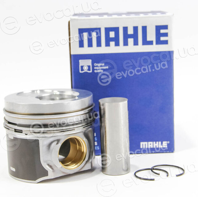 Mahle 030 97 00