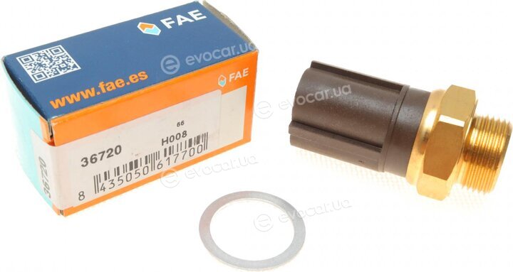 FAE 36720