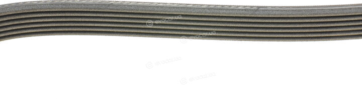 Continental 6PK1217