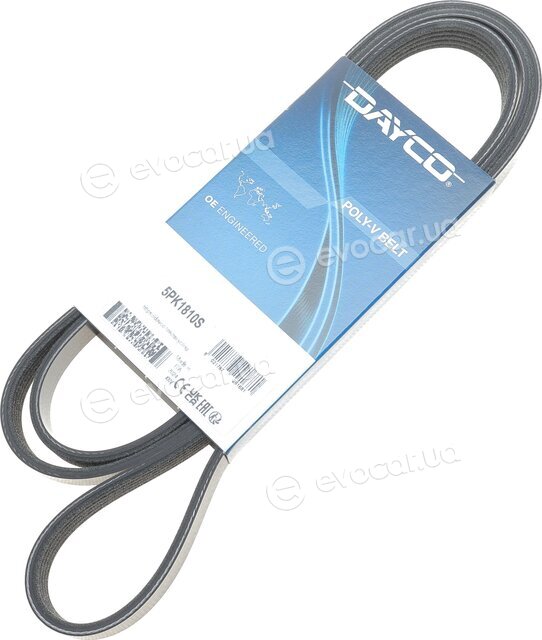 Dayco 5PK1810S