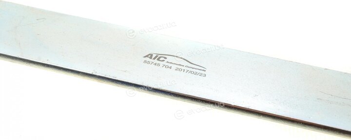 AIC 55745