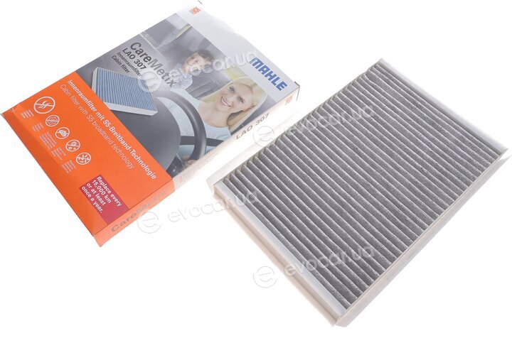 Mahle LAO 307