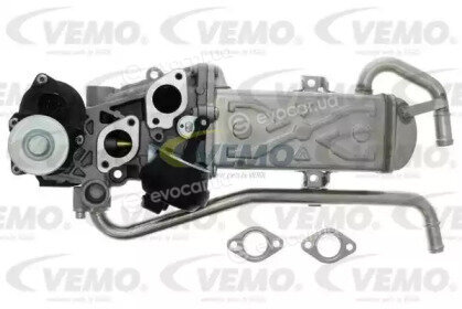 Vaico / Vemo V10-63-0082