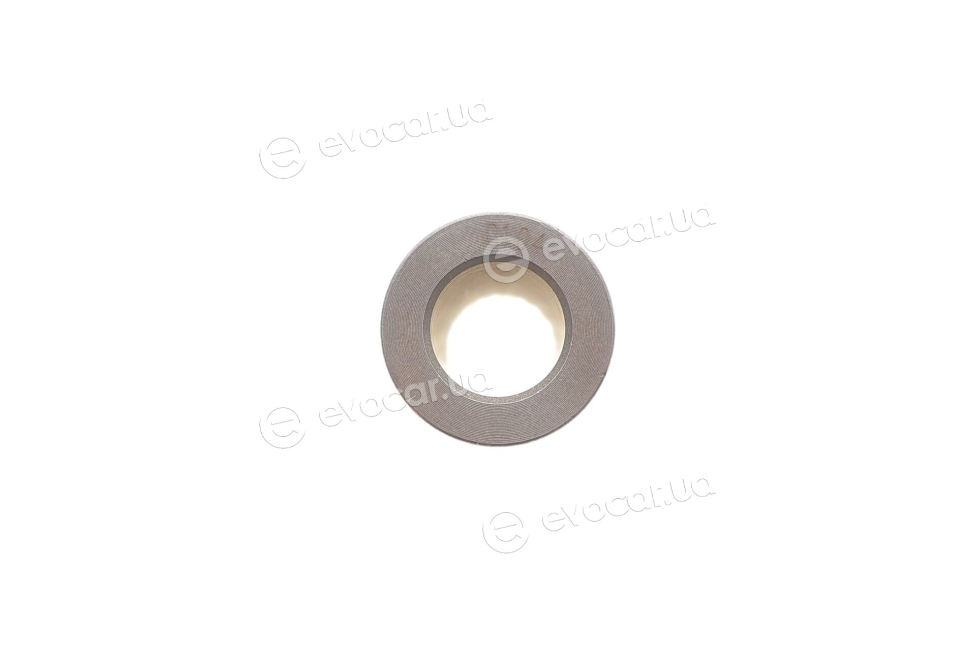 Mahle 021 PI 00132 000